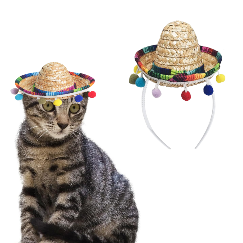 >可爱的宠物墨西哥帽：让你毛茸茸的朋友拥抱墨西哥风格