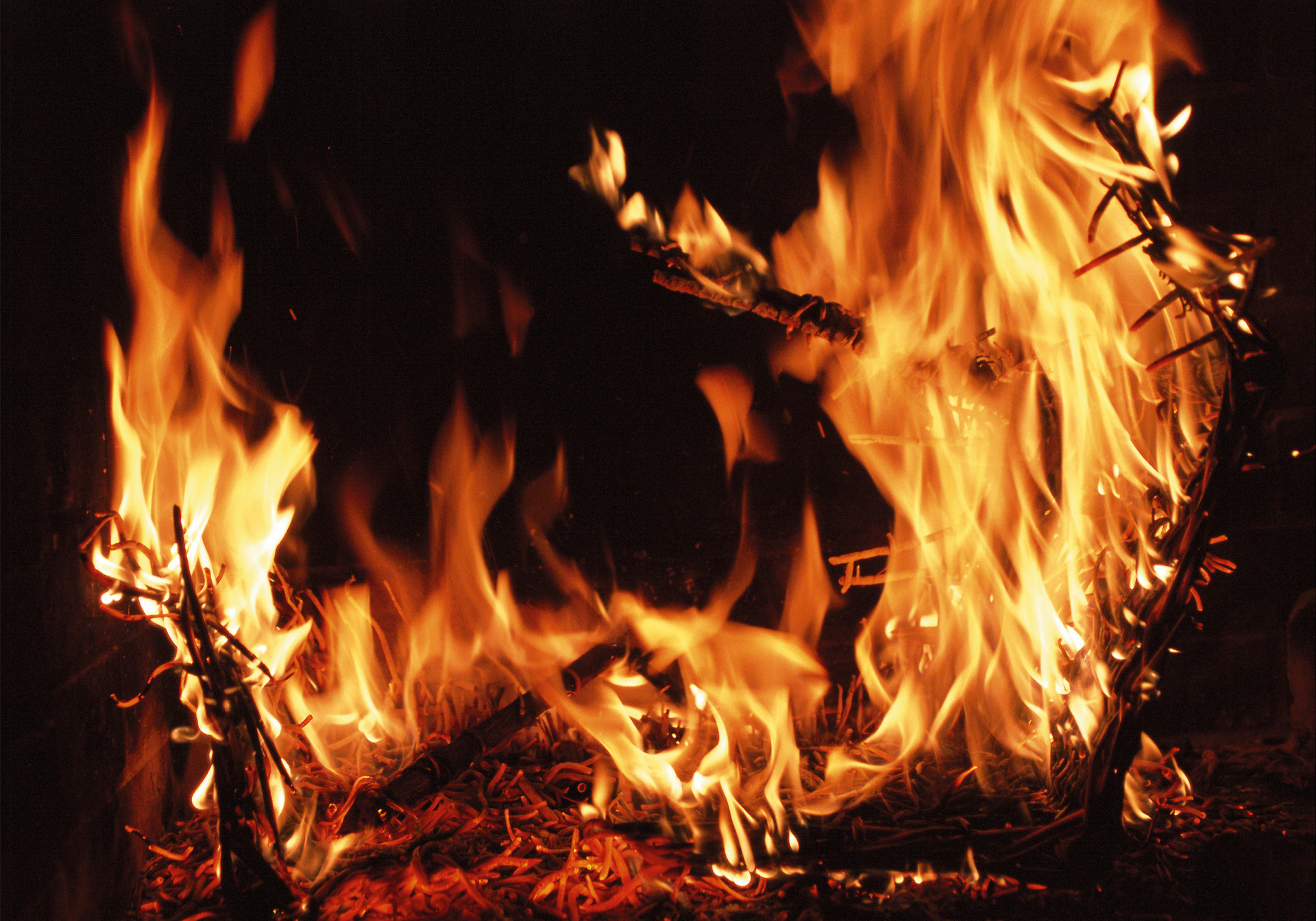 唏嘘！深圳顶流跨境品牌Zaful母公司被申请破产清算