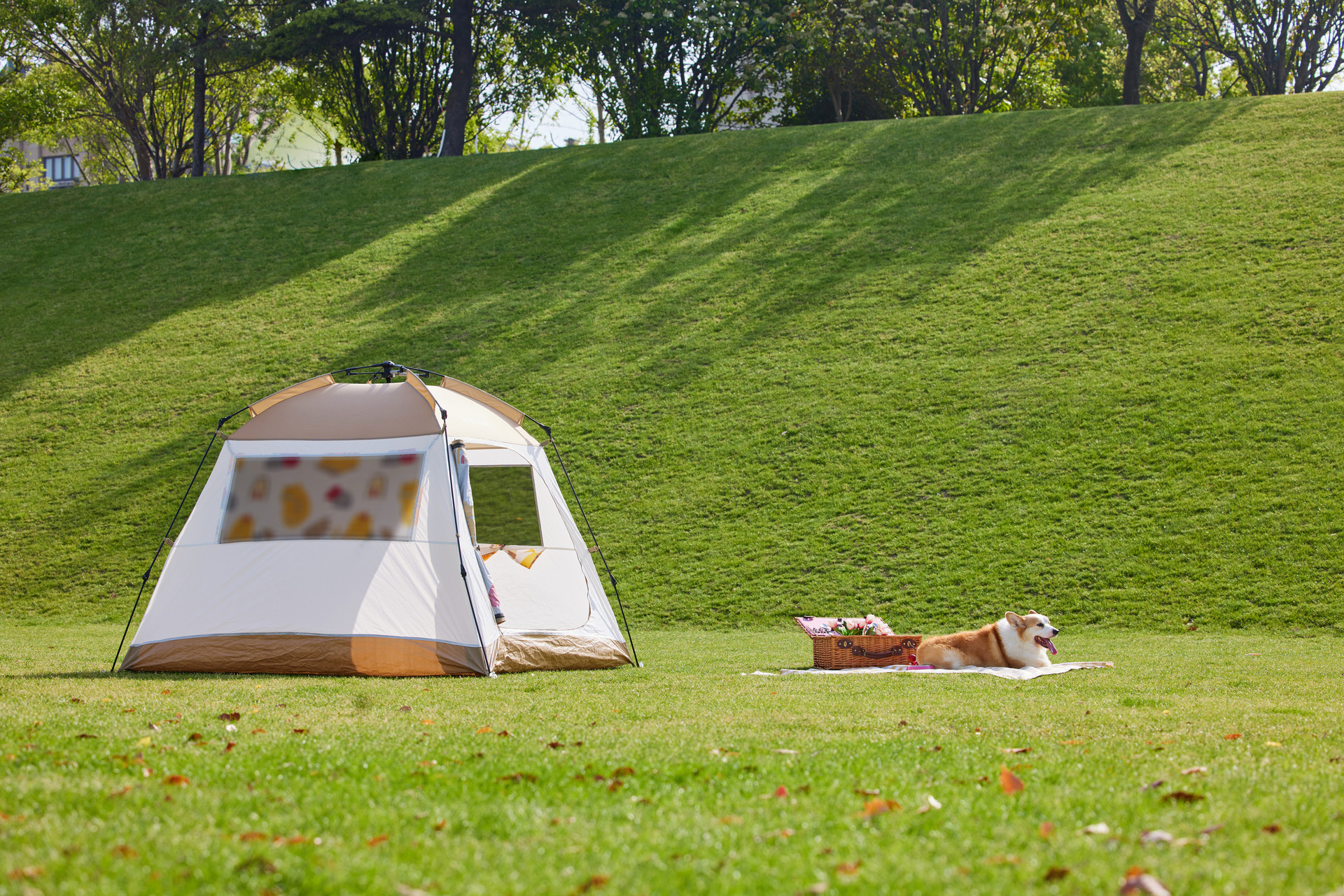 春日踏青带动户外用品市场，中国现存户外用品相关开业企业超930万家