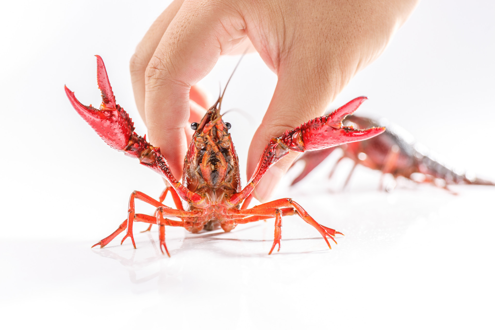 中国AI大模型周调用量增31.48%，连续五周超美国