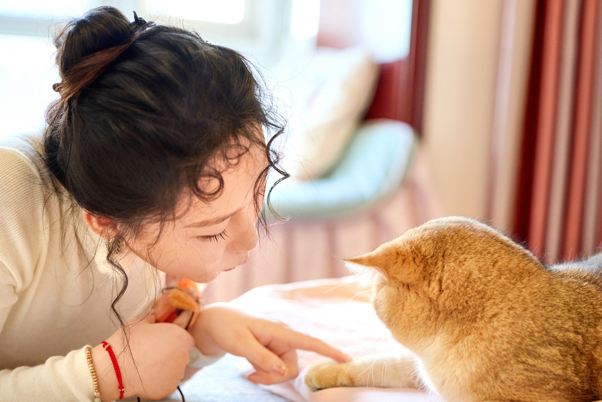 从猫毛痛点切入千亿赛道，追觅科技携自清洁宠物空净入局全球市场