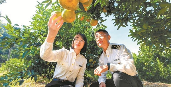 文章封面